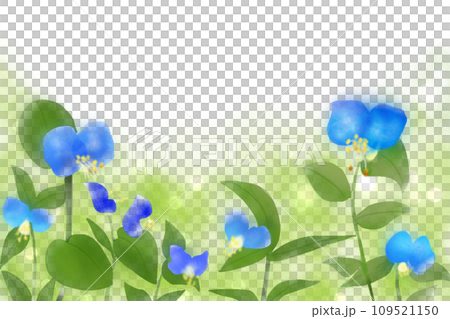 露草の花のカード2 109521150