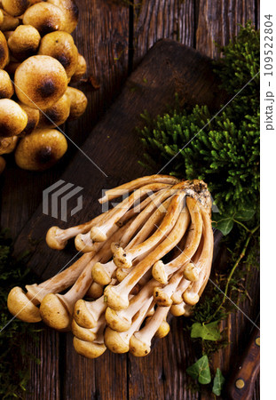 raw mushrooms on kitchen table, fresh mushrooms 109522804