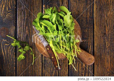 Fresh arugula leaves, green rucola 109522814