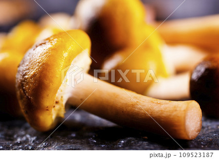 raw mushrooms on kitchen table, fresh mushrooms 109523187