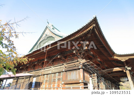 護国寺（ごごくじ）の観音堂（本堂）　東京都文京区 109523531