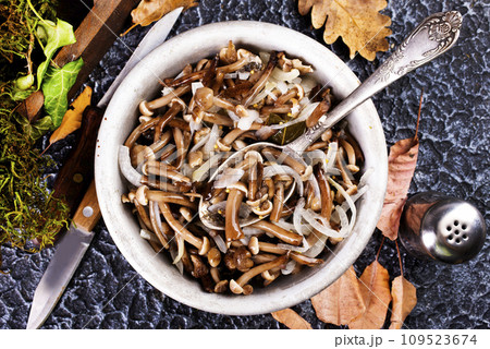 Wild pickled mushroom in the bowl snack Wild pickled mushroom in the bowl snack 109523674