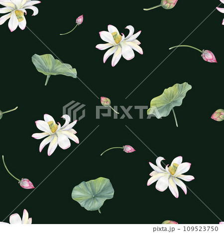White pink lotus flowers, green leaves. Seamless pattern of blooming water lily. Watercolor illustration isolated on black background. Hand drawn composition for poster, textile, wallpaper. 109523750