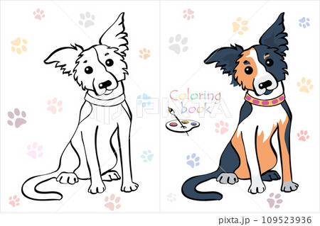Coloring Book page funny Border Collie 109523936