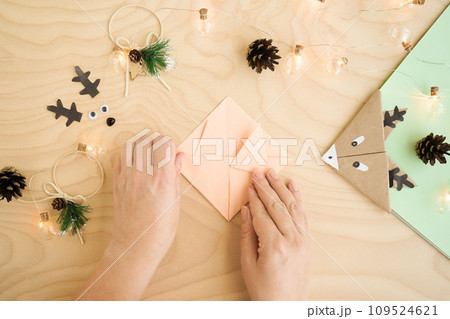 Step 8 origami. Step by-step photo instructions how to make a bookmark in the form of an deer out of paper with your own hands. Simple crafts with children. Step 8 origami. Step by-step photo instructions how to make a bookmark in the form of an deer out of paper with your own hands. Simple crafts with children. 109524621