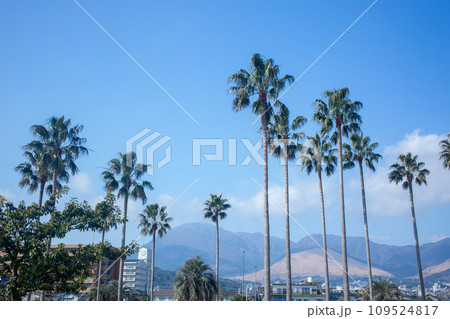 別府上人ケ浜公園 109524817