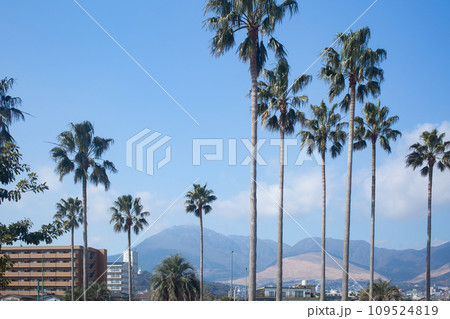 別府上人ケ浜公園 109524819