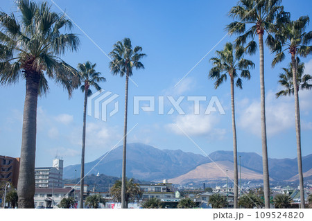 別府上人ケ浜公園 109524820