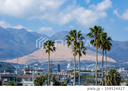 別府上人ケ浜公園 109524827