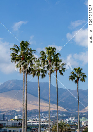 別府上人ケ浜公園 109524828