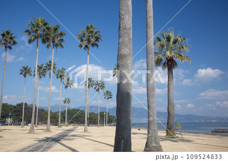 別府上人ケ浜公園 別府上人ケ浜公園 109524833