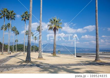 別府上人ケ浜公園 109524835