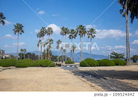 別府上人ケ浜公園 109524842