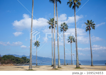 別府上人ケ浜公園 109524853