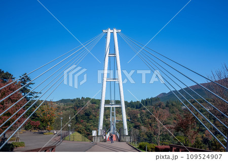 九重“夢”大吊橋と紅葉 九重“夢”大吊橋と紅葉 109524907