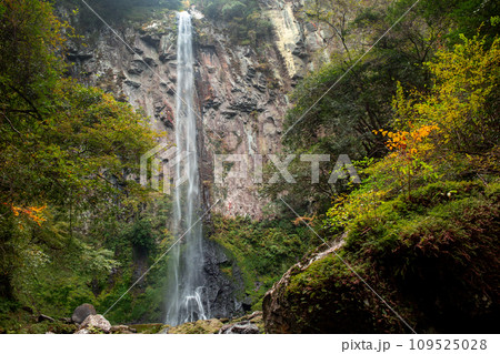 東椎屋の滝 東椎屋の滝 109525028