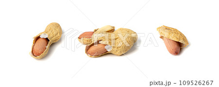 Peanuts Isolated, Roasted Arachis Nuts, Open Pea Nut, Whole Groundnut with Shell, Peanut on White 109526267