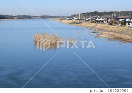 谷田川 牛久沼に流入 茨城県 谷田川 牛久沼に流入 茨城県 109526565