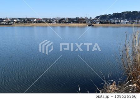 谷田川 牛久沼に流入 茨城県 谷田川 牛久沼に流入 茨城県 109526566