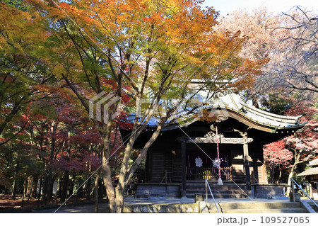 寺と紅葉 109527065