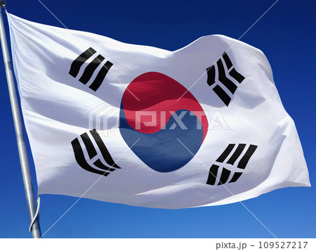 韓国（大韓民国）の国旗 109527217