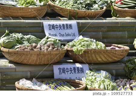 宮崎神宮奉納 109527733