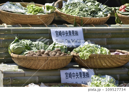 宮崎神宮奉納 109527734