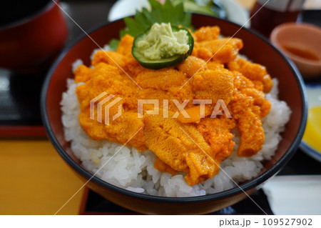 道東初夏の風味 利尻島のウニ丼 道東初夏の風味 利尻島のウニ丼 109527902