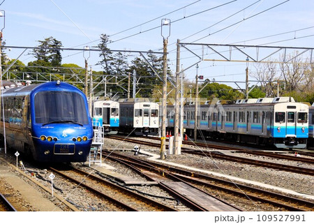 伊豆急行線の風景　伊豆高原駅車両基地（ロイヤルエクスプレスと伊豆急8000系車両） 109527991