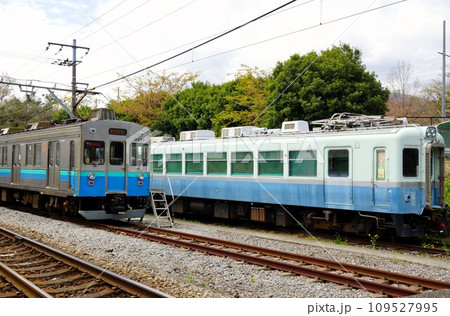 伊豆急行線の風景 伊豆高原駅付近(伊豆急100系車両と8000系(旧東急車両)) 伊豆急行線の風景 伊豆高原駅付近(伊豆急100系車両と8000系(旧東急車両)) 109527995