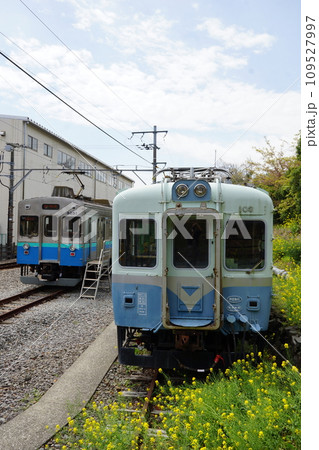 伊豆急行線の風景 伊豆高原駅付近(伊豆急100系車両と8000系(旧東急車両)) 伊豆急行線の風景 伊豆高原駅付近(伊豆急100系車両と8000系(旧東急車両)) 109527997