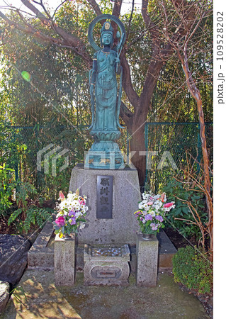 天然寺（川越） 109528202