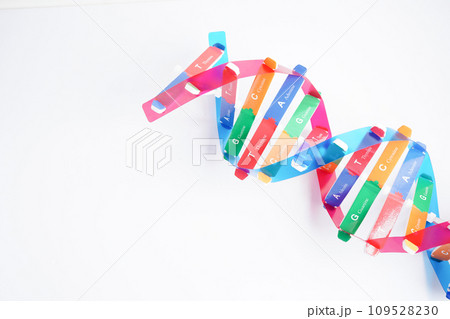DNA molecule spiral structure model isolated on white background, chromosome and gene chemical science biology. 109528230