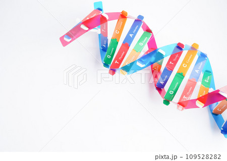 DNA molecule spiral structure model isolated on white background, chromosome and gene chemical science biology. DNA molecule spiral structure model isolated on white background, chromosome and gene chemical science biology. 109528282