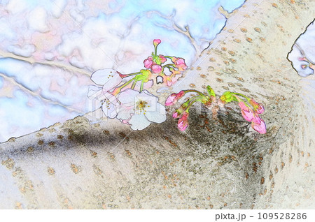 イラスト水彩画風ソメイヨシノ32 イラスト水彩画風ソメイヨシノ32 109528286