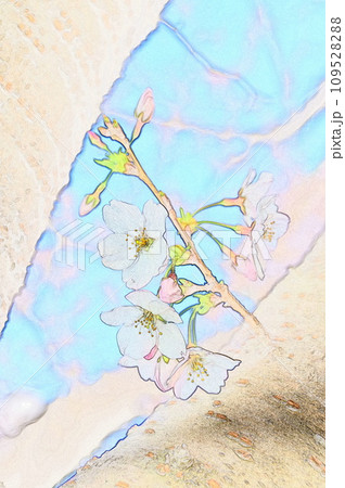 イラスト水彩画風ソメイヨシノ34 イラスト水彩画風ソメイヨシノ34 109528288