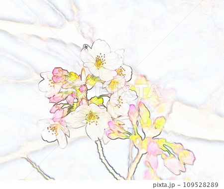イラスト水彩画風ソメイヨシノ21 109528289