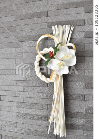 胡蝶蘭 白の胡蝶蘭 胡蝶蘭 白の胡蝶蘭 109528365