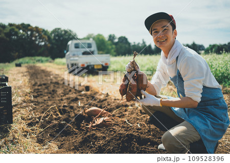 vegetable field vegetable field 109528396