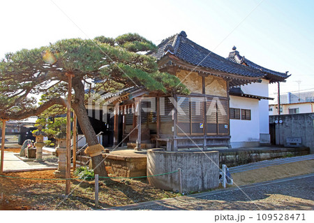 妙昌寺（川越） 109528471