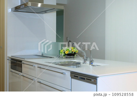 キッチン（新築住宅） 109528558