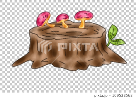 stump left in the forest 109528568