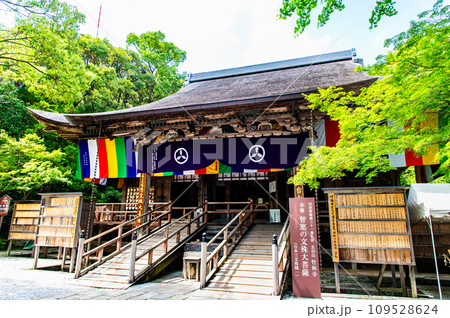 高知 竹林寺 文殊堂 高知 竹林寺 文殊堂 109528624