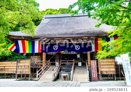 高知 竹林寺 文殊堂 高知 竹林寺 文殊堂 109528631