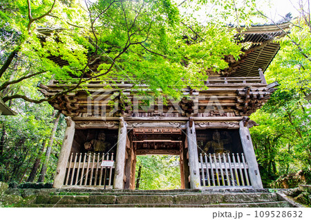 高知 竹林寺 仁王門 高知 竹林寺 仁王門 109528632