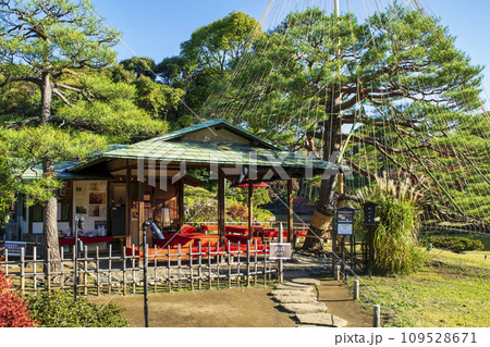 東京都 六義園(りくぎえん) 吹上茶屋 秋 特別名勝 東京都 六義園(りくぎえん) 吹上茶屋 秋 特別名勝 109528671