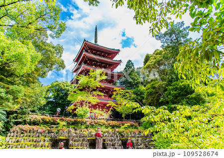 高知 竹林寺 五重塔 高知 竹林寺 五重塔 109528674