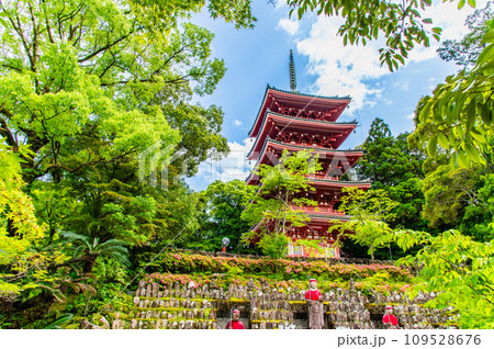 高知 竹林寺　五重塔 109528676