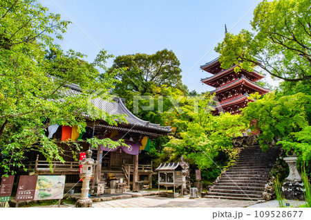 高知 竹林寺　五重塔と大師堂 109528677