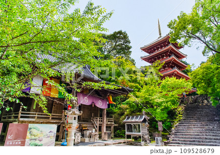 高知 竹林寺　五重塔と大師堂 109528679